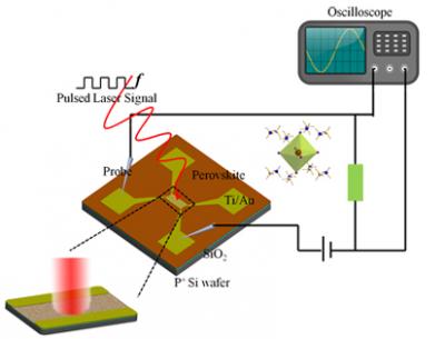 Hybrid Perovskite Photoconductivity Visible Region Detector with High Speed and High Stability