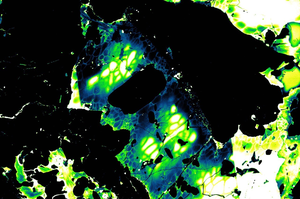 Recrystallized meteorite