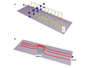 Transport properties of the chiral zeroth Landau levels.