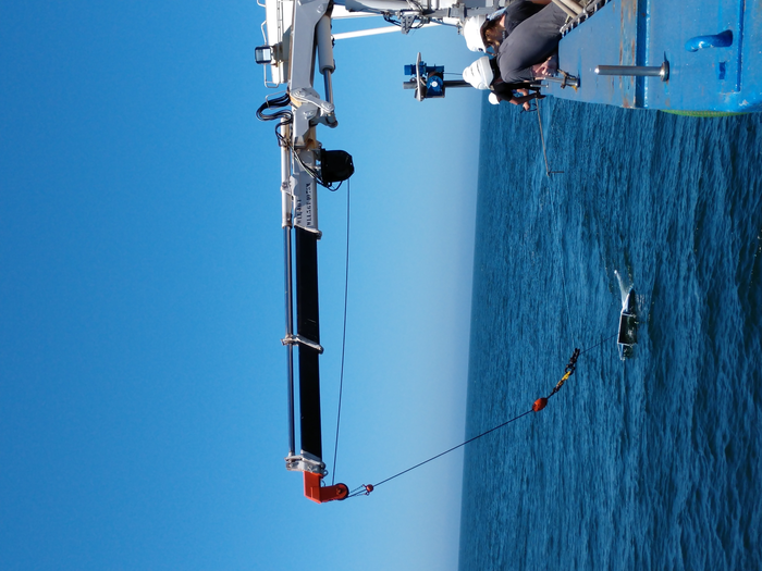 Collecting Microplastics