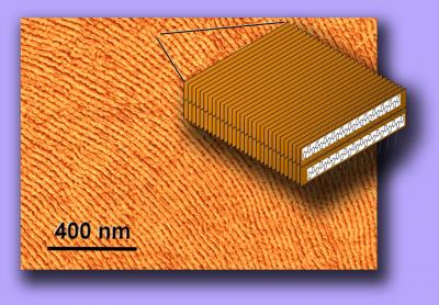 Atomic force microscopy image of aligned nanofibrils of a highly conducting plastic