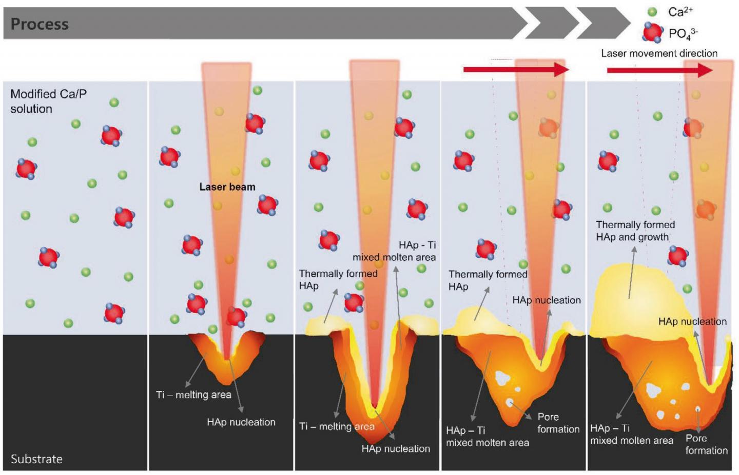 Schematic diagram of the laser-induced single-step coating