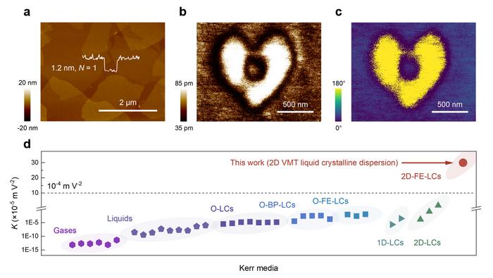 Ferroelectricity of 2D vermiculite and the electric field responsivity