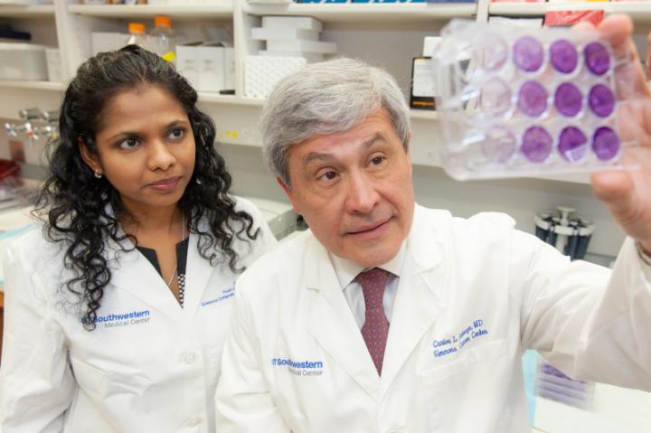 Dhivya Sudhan, Ph.D. and Carlos L. Arteaga, M.D., UT Southwestern Medical Center