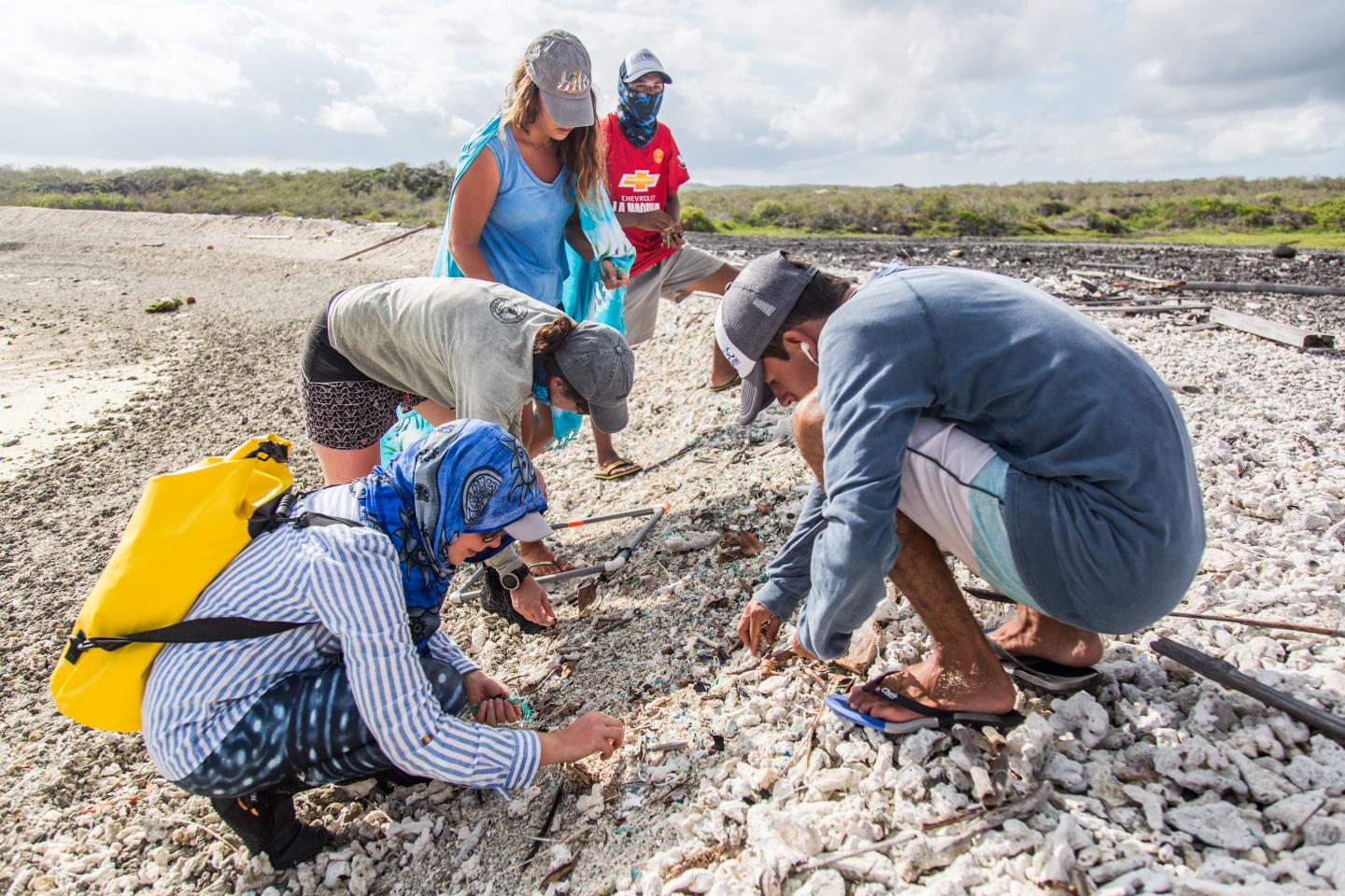 Plastic sampling