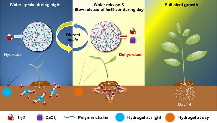 Hydrogel 2