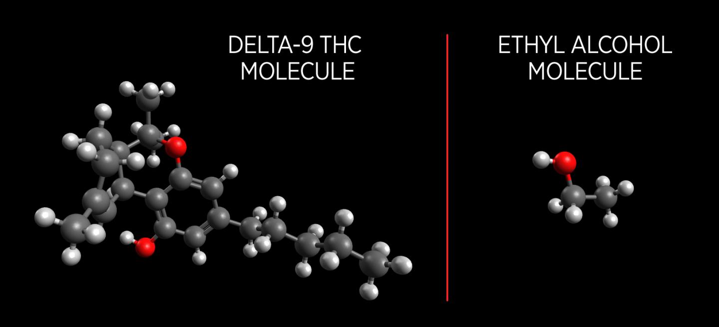 Comparison of THC and Ethyl Alcohol Molecules
