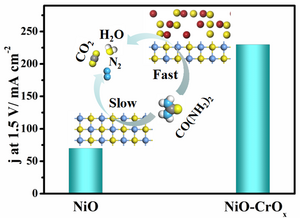 Novel compound boosts urea to sustainable energy reaction process