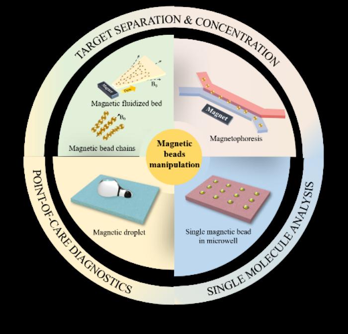 Magnetic Bead Technology Explained