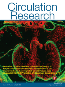 Cover of July issue of Circulation Research