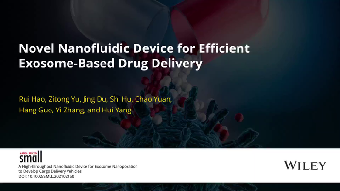 Novel nanofluidic device for efficient exosome-based drug delivery