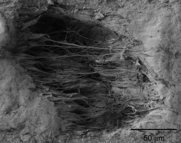 Resaerchers Find a Key to Electrostatic Charging