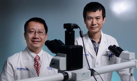 Lu Le and Zhiguo Chen, UT Southwestern Medical Center