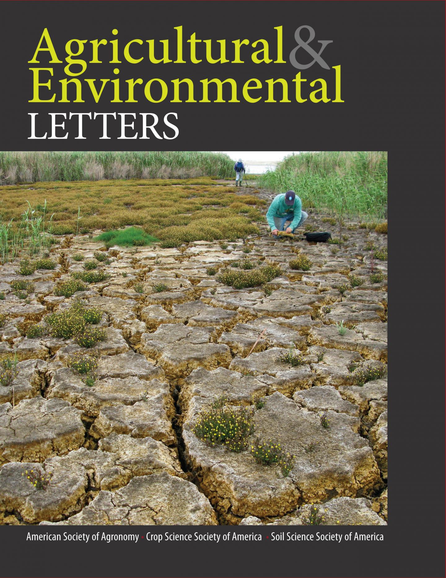 </i>Agricultural & Environment Letters</i> Cover