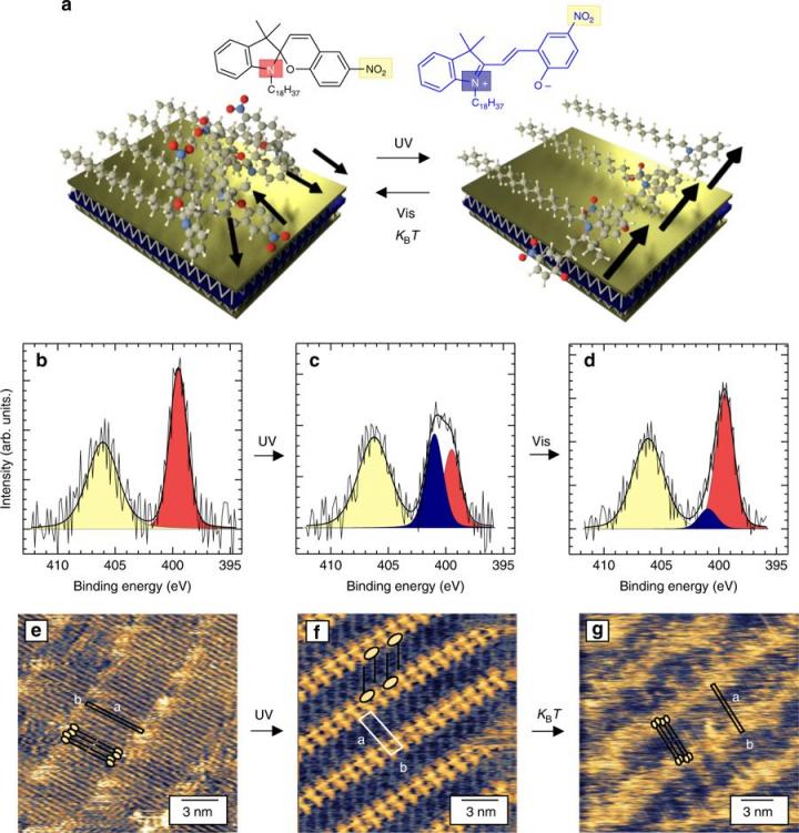 Photo-Switchable Molecular Crystals in Two Dimensions