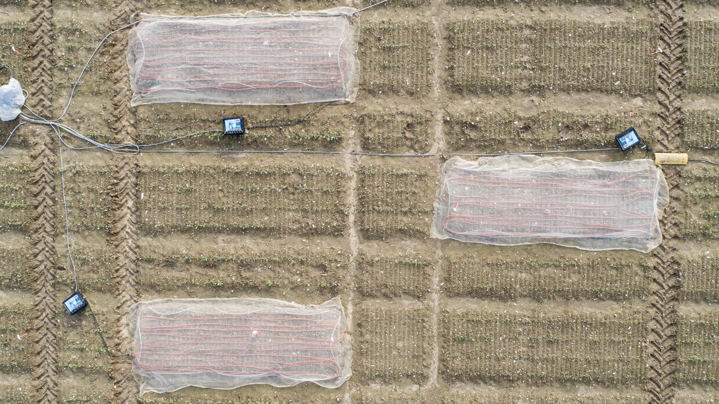 Heated Field Trials