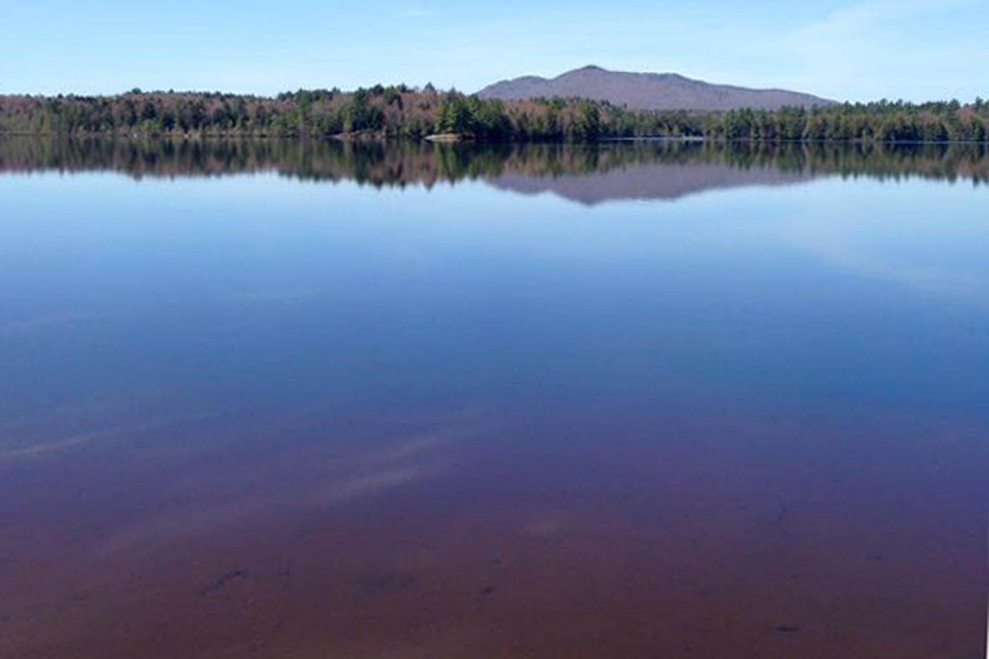Lakes Become Less Productive as They Brown