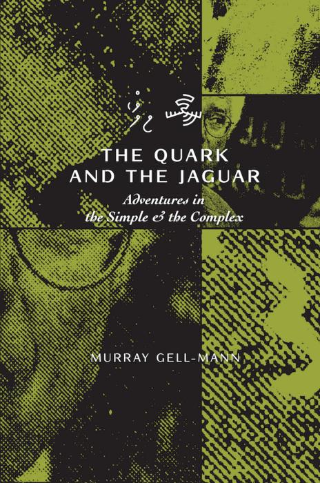 The Quark & the Jaguar book cover