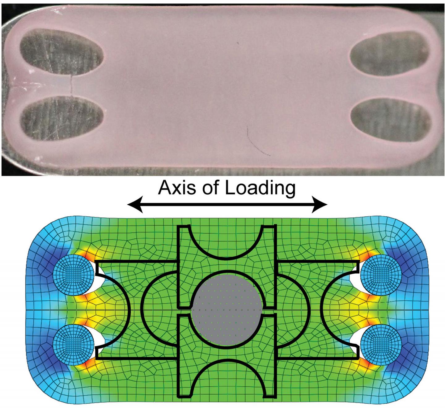 Artificial Cartilage Under Tension as Strong as Natural Material