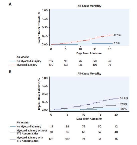 In-hospital Mortality in Patients with Covid-19, Myocardial Injury and Echocardiographic Abnormalities