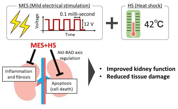 MES+HS healing mechanism