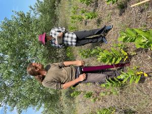 Soil moisture survey