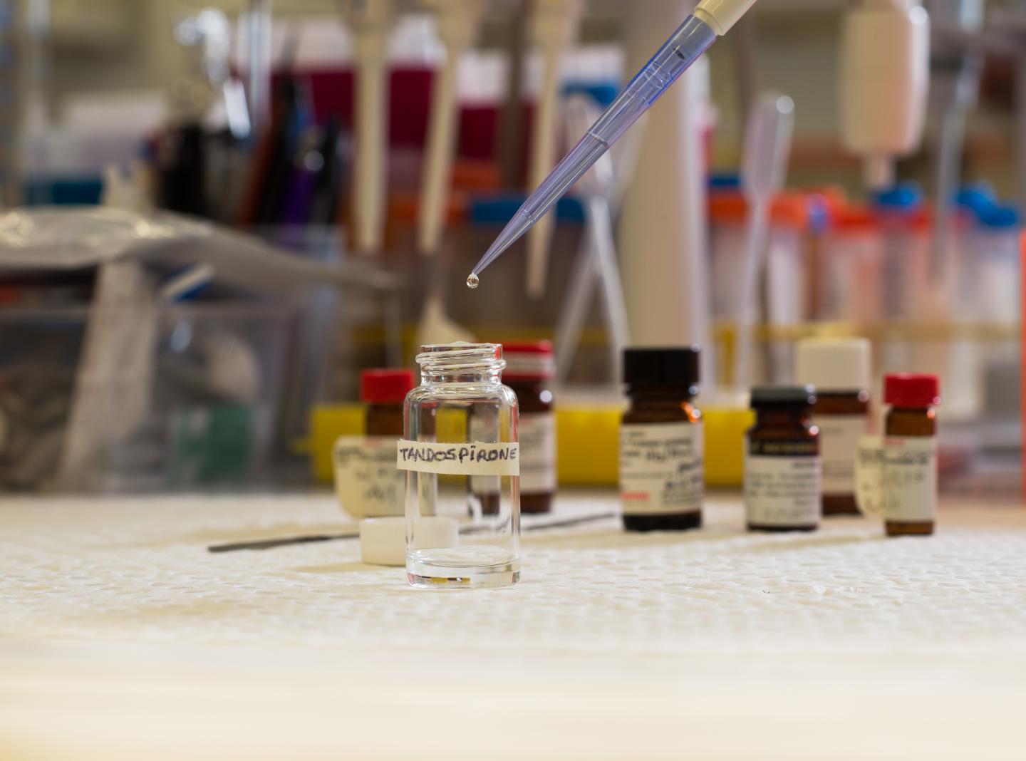 The Drug Tandospirone