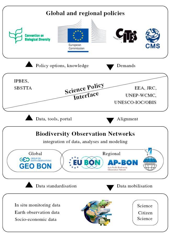 Biodiversity Observation Networks (BONs)