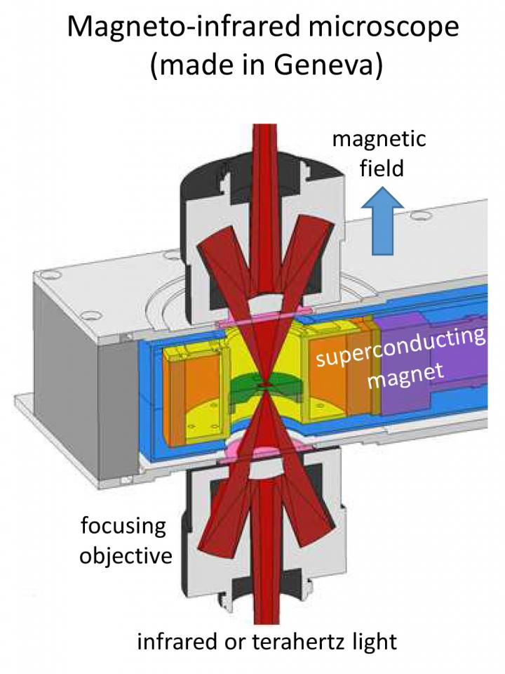 The Experimental Device