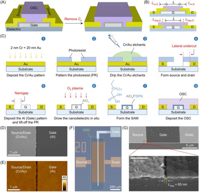 Fabrication and structural characterization of a Cp-free organic thin-film transistor (OTFT).
