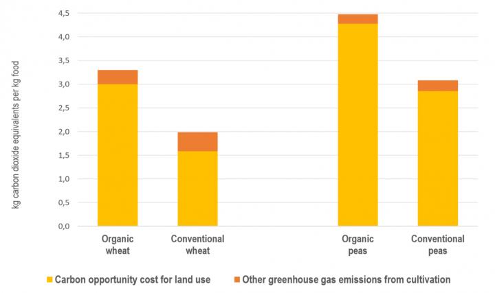 The Climate Impact from Swedish Wheat and Peas