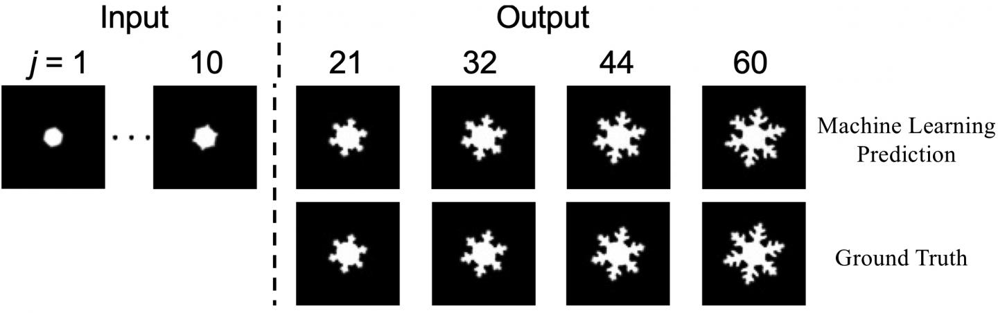 MICROSTRUCTURE 1