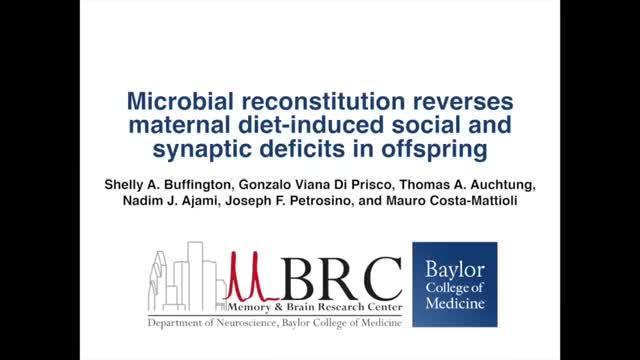 Diet, the Gut Microbiome, and Mouse Social Behavior
