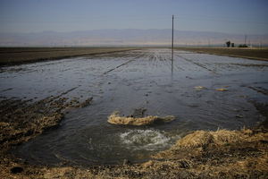 Flood irrigation