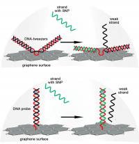 Cartoon: DNA Strand Displaceme [IMAGE] | EurekAlert! Science News Releases