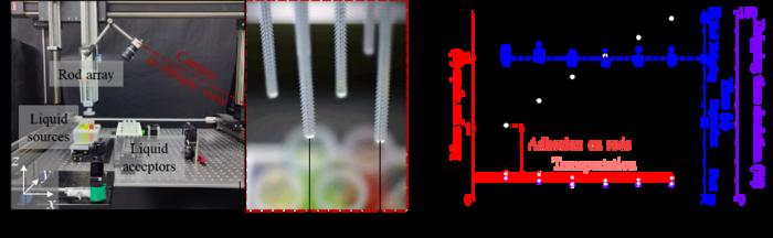 Liquid transfer by an array of millimetric structured rods