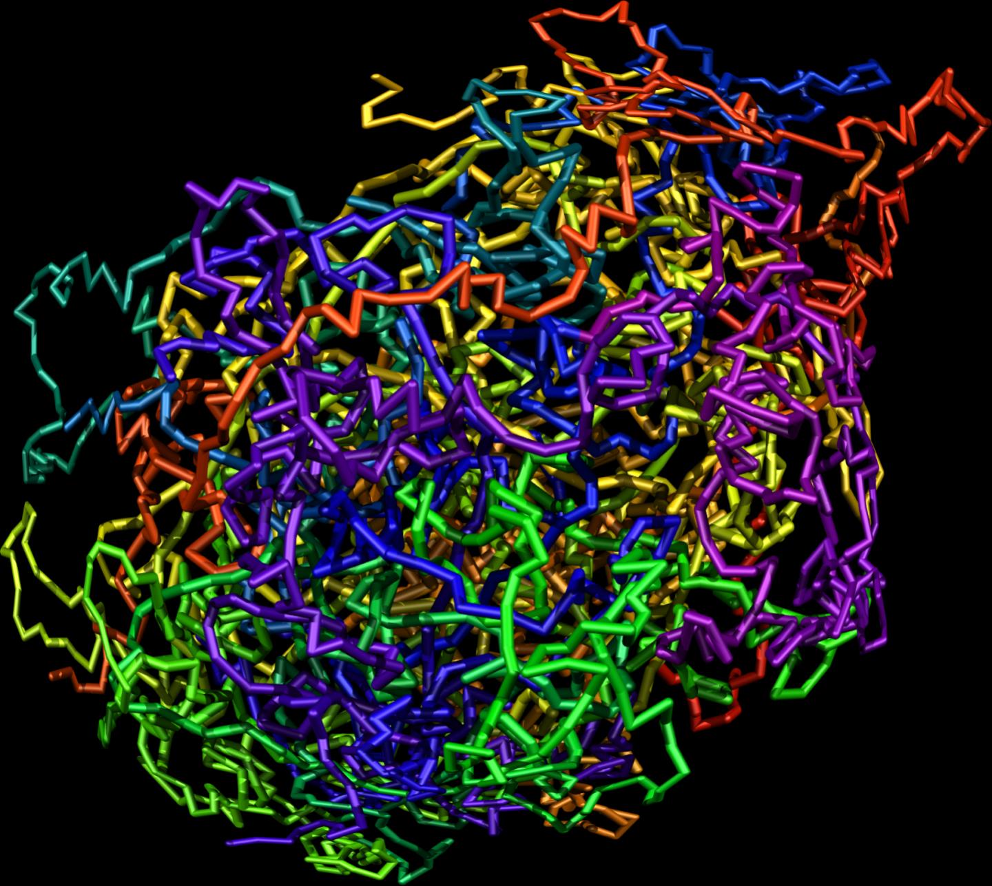 A Three-Dimensional Portrait of a Chromosome