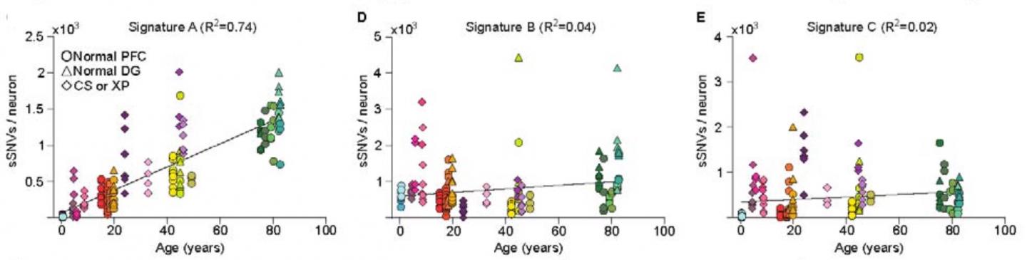 Mutation Signatures, by Age, Location and Disease Status