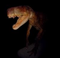 Dinosaur-like Archosaur <I>Smok wawelski</I>