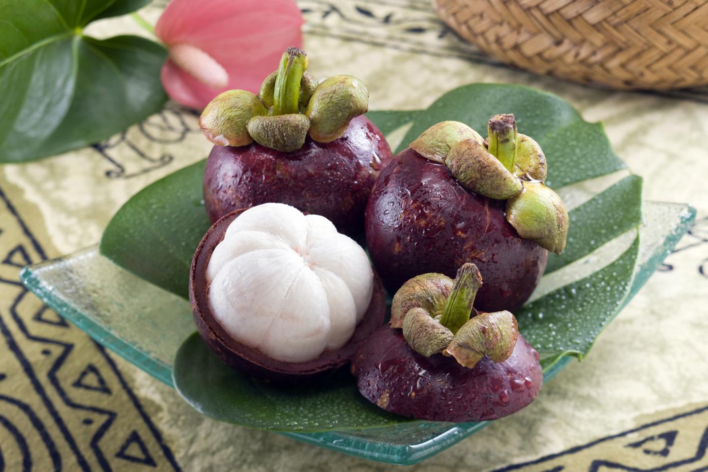 Mangosteen