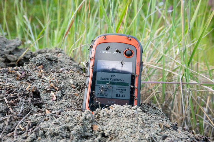 Studying the scientists