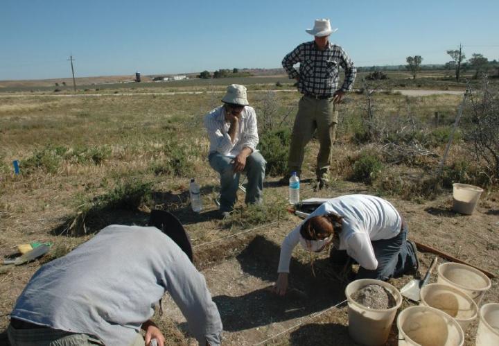 excavation on the Lower Murray