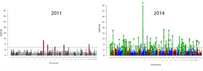 Schizophrenia Genetics Skylines