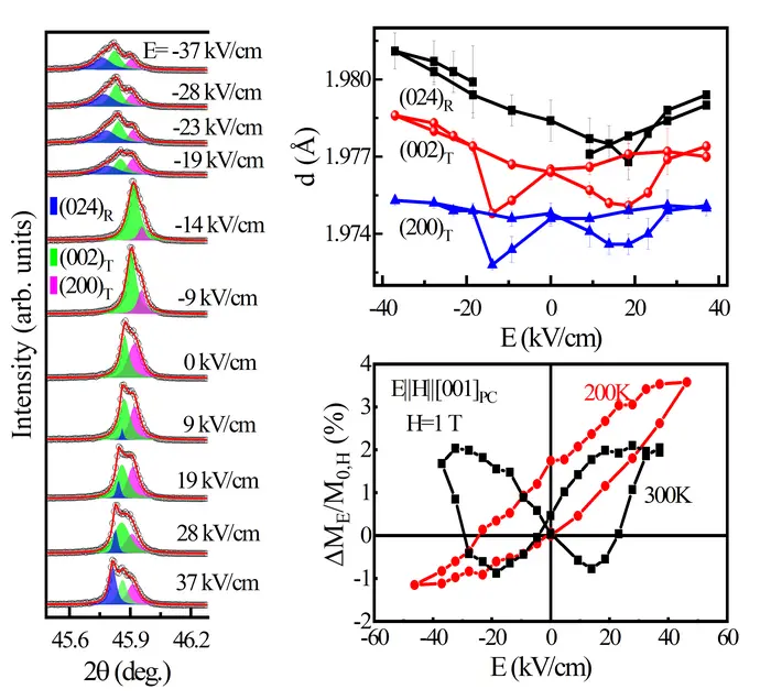 Novel Single Crystals Show Promising Electric Field Control of Magnetism