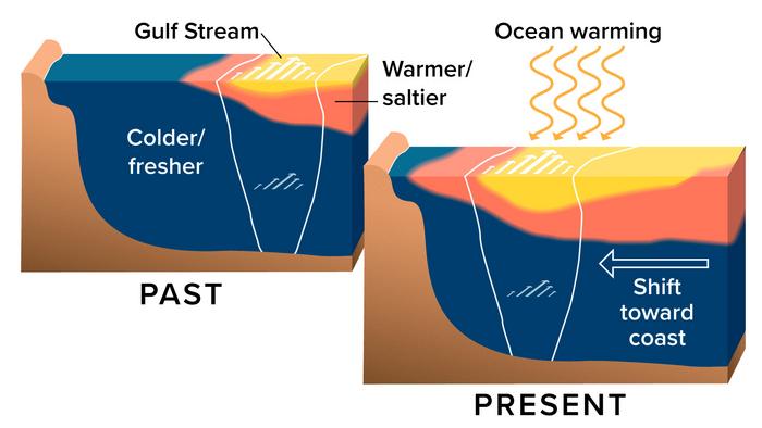 Gulf Stream Warming Trend