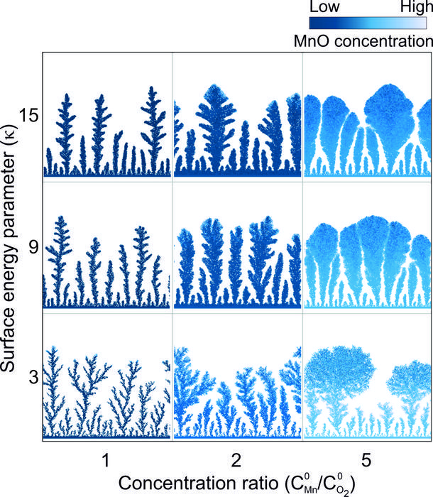 Morphologies of the dendrite forest