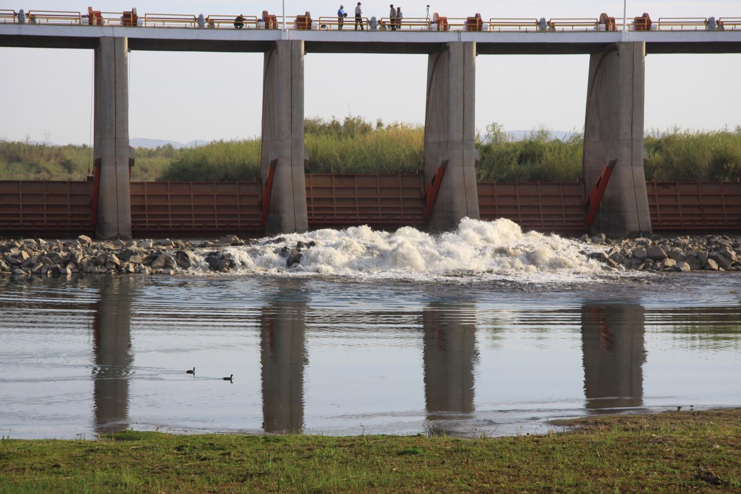 Water Released from Morelos Dam, March 2014