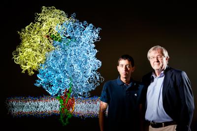 Membrane Protein Researchers