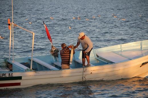 Launching Acoustic Monitors