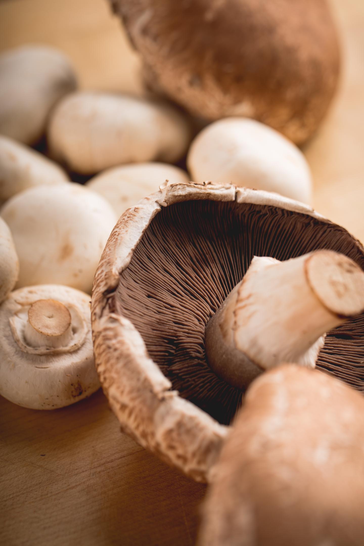 Cultivated, U.S. Mushrooms